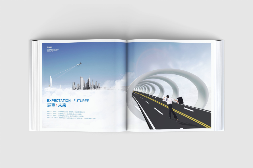 鹤城区画册设计